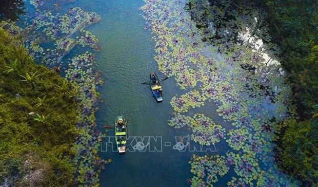 Révolution numérique du tourisme vietnamien : importance des entreprises pionnières ảnh 1