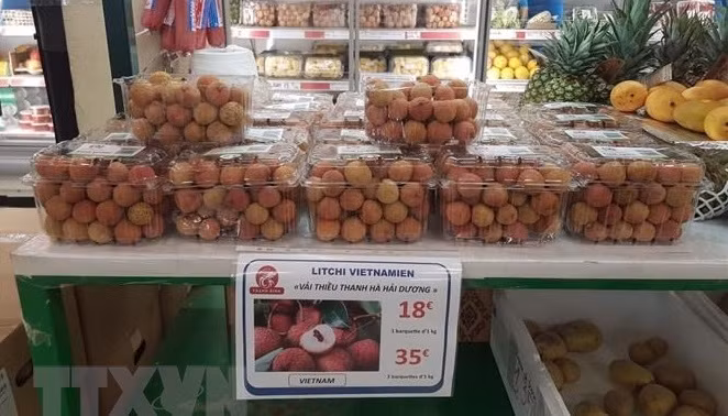 La diaspora appelée à promouvoir les produits agricoles vietnamiens ảnh 2