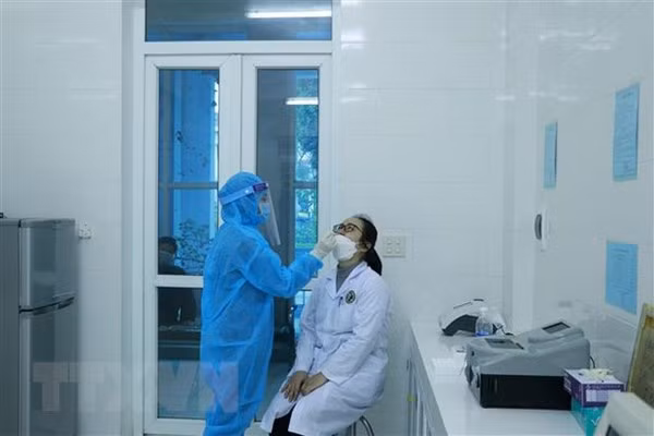 COVID-19 : plus de 36.000 nouveaux cas signalés ảnh 1