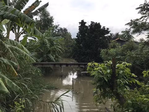 Le delta du Mékong en réponse à la salinisation de ses terres ảnh 1