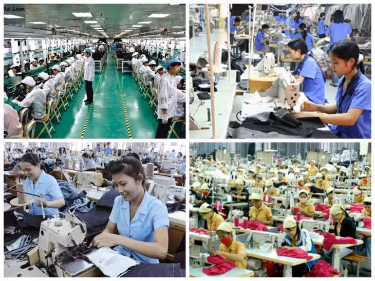 Le marché du travail reprend vie ảnh 1