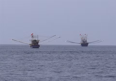 De nouvelles mesures contre la pêche illicite ảnh 1