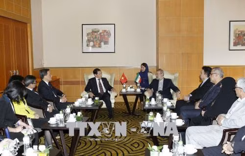 Promotion des relations d’amitié et de coopération Vietnam-Iran ảnh 1