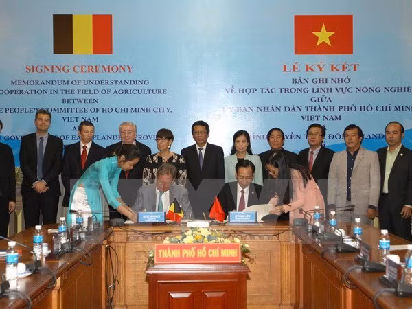 Ho Chi Minh-Ville et la province de Flandre-Orientale renforcent leur coopération agricole ảnh 1