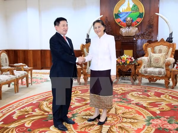 Le Laos tient en haute estime le soutien de l’Audit d'Etat du Vietnam ảnh 1
