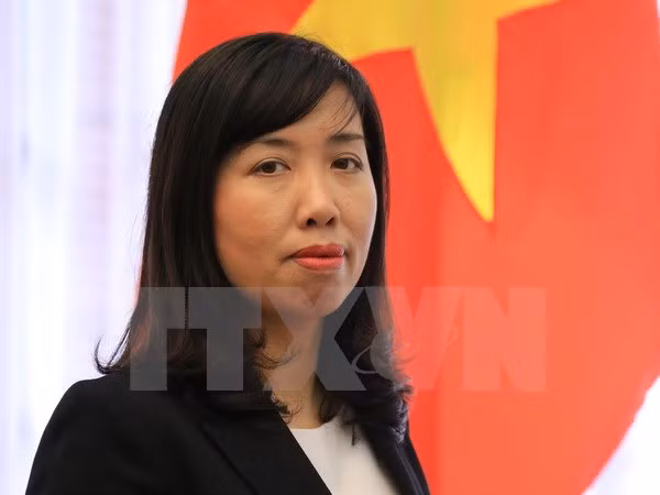 Mer Orientale: le Vietnam demande un règlement pacifique, conforme au droit ảnh 1
