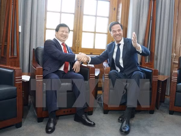 Le Vietnam est partenaire important des Pays-Bas en Asie du Sud-Est ảnh 1