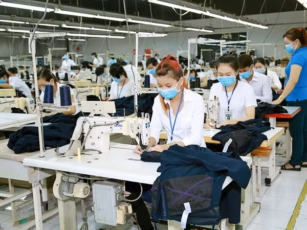 Les exportations nationales de textiles et de vêtements en hausse de 14% au premier semestre ảnh 1