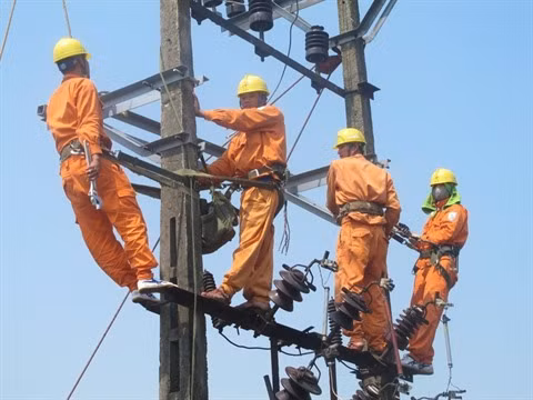 La canicule entraîne une consommation électrique record ảnh 1