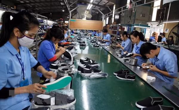 L'industrie vietnamienne du cuir et des chaussures poursuit sur sa lancée en 2019 ảnh 2