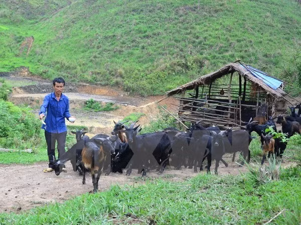 Quang Ninh accélère la réduction de la pauvreté dans les zones montagneuses ảnh 1