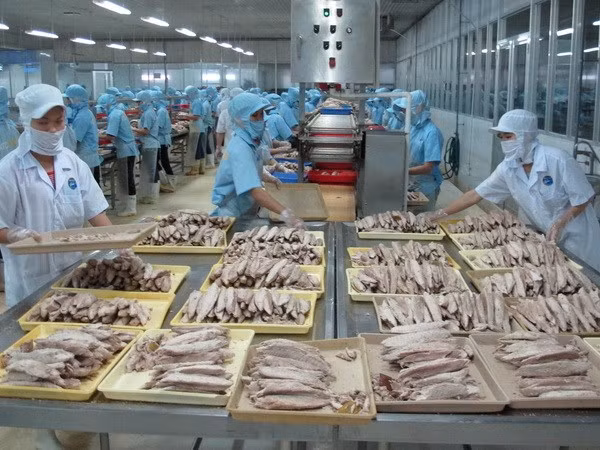 An Giang : séminaire sur les exportations de produits aquatiques en Chine ảnh 1