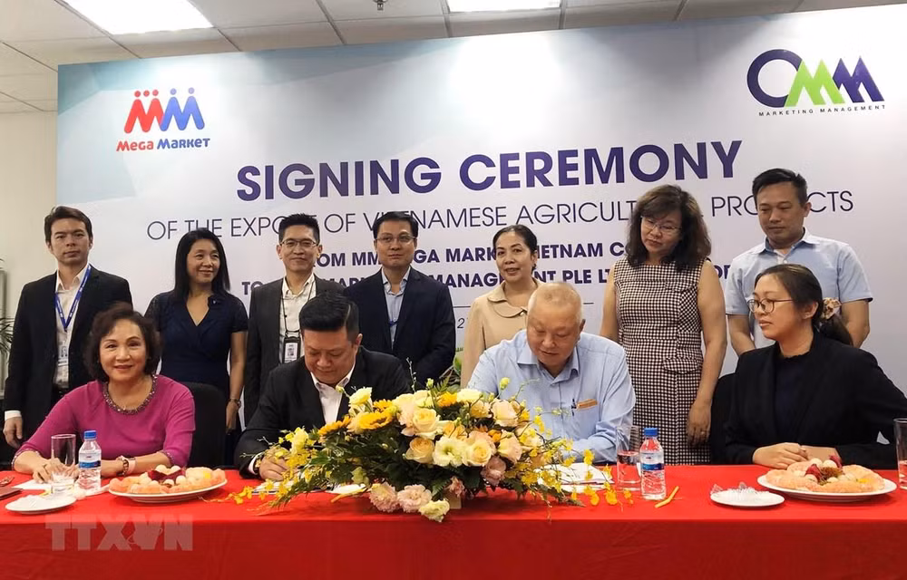 Promotion des exportations de produits agricoles vietnamiens vers Singapour ảnh 1