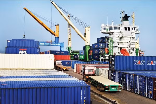 Hai Phong : le terminal HITC accueille un grand porte-conteneurs ảnh 1