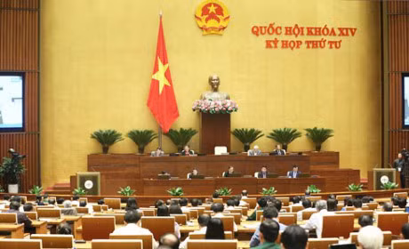 La 4e session de la 14e législature de l'Assemblée nationale poursuit ses travaux ảnh 1