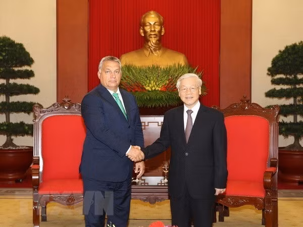 La visite du leader du PCV en Hongrie promeut les relations bilatérales ảnh 1