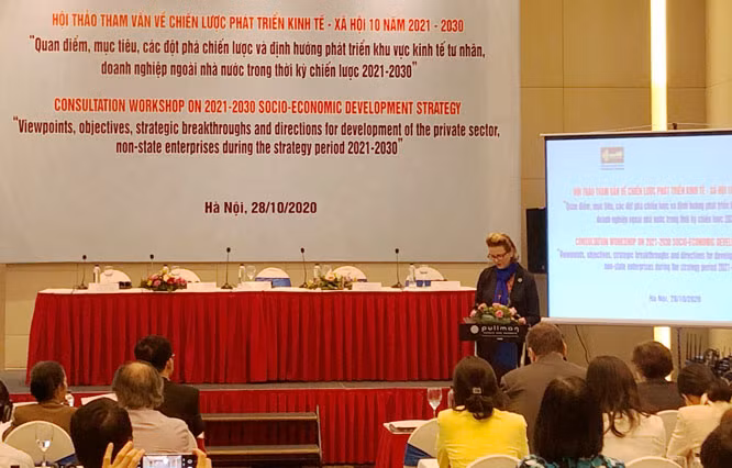 Consultation pour la stratégie de développement socio-économique pour 2021-2030 ảnh 1