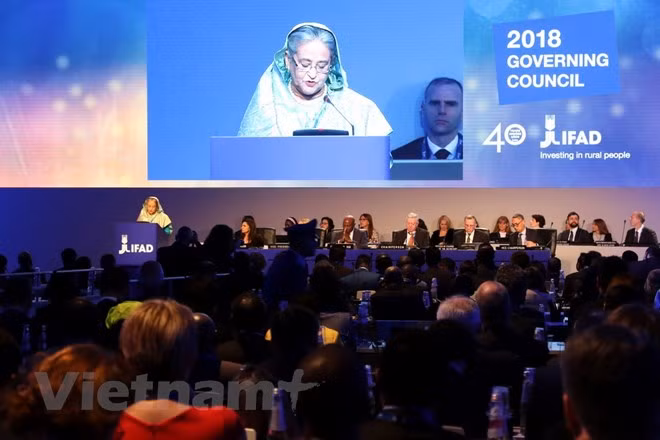 Le Vietnam à la réunion du Conseil d'administration du FIDA ảnh 1