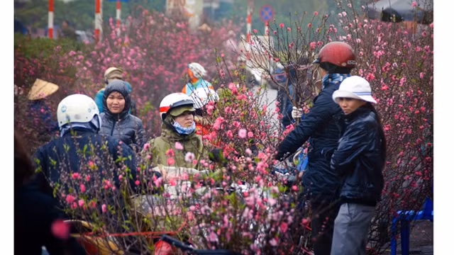 Le marché aux fleurs de Quang Ba est l’une des 14 destinations idéales pour le Tet ảnh 1