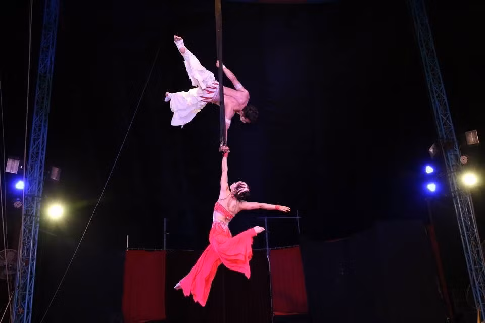 Ouverture du 1er gala international de cirque de Ho Chi Minh-Ville ảnh 1