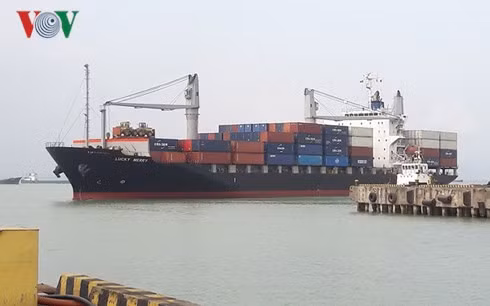 Le port de Da Nang accueille les premiers cargos de l'année du Chien ảnh 1
