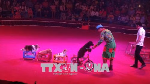 Ouverture du 1er gala international de cirque de Ho Chi Minh-Ville ảnh 2