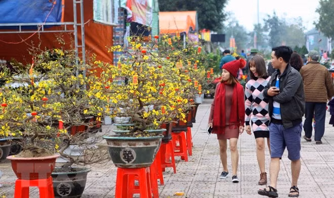 Des étrangers enthousiastes de vivre le Têt au Vietnam ảnh 1