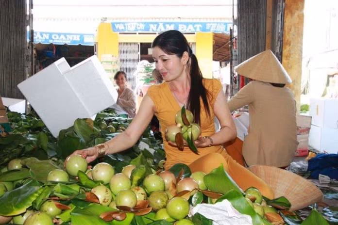 Exportation de pommes de lait Lo Ren de Tiên Giang vers les États-Unis ảnh 1