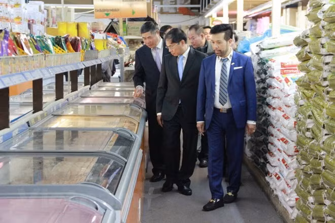 Le vice-ministre permanent des AE rencontre des résidents vietnamiens en Allemagne ảnh 1