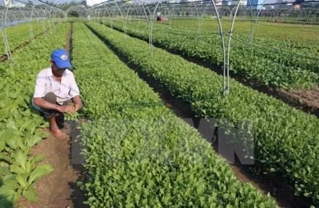 Quang Ninh appelle les entreprises à investir dans l'agriculture ảnh 1
