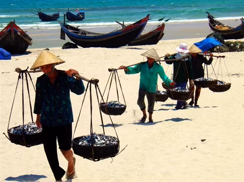 La palanche en bamboo ảnh 2