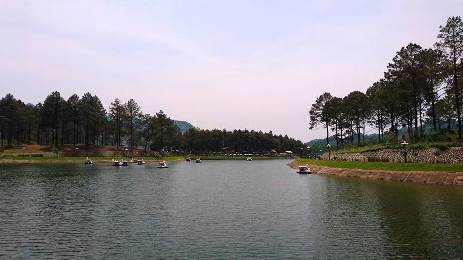 Son La : un projet est mis en place pour préserver la biodiversité en forêt ảnh 1