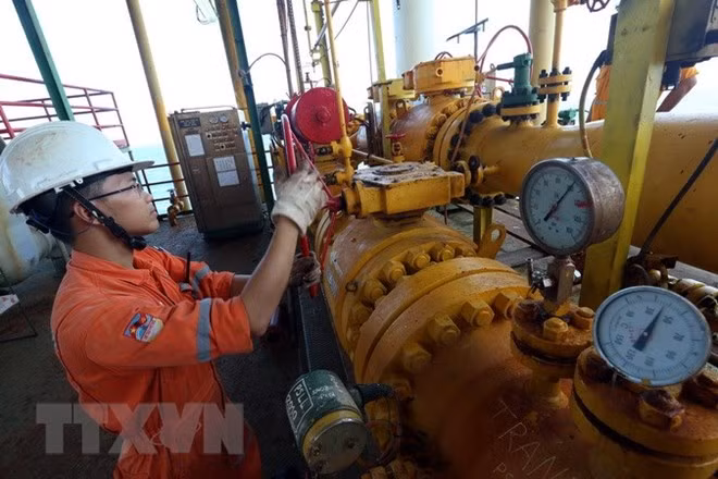 Les IDE contribuent au développement du secteur pétrolier du Vietnam ảnh 1