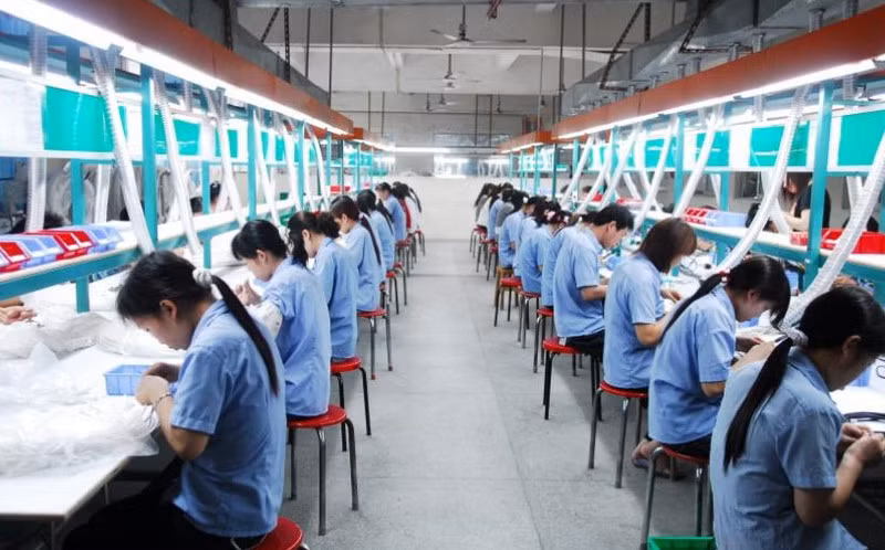 Promotion de l’égalité des sexes via la modification du code de travail ảnh 1