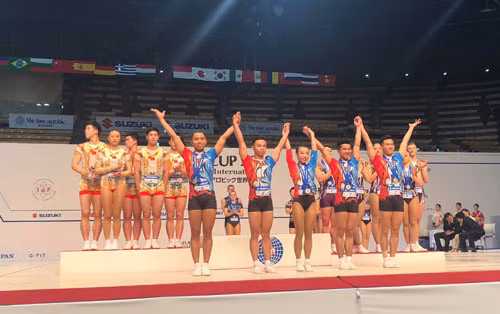 Coupe du monde de gymnastique Aérobic Suzuki 2018 : neuf médailles pour le Vietnam ảnh 1