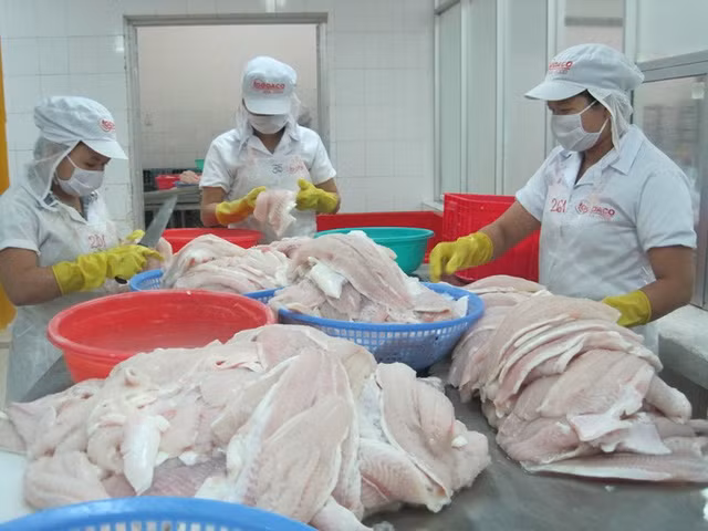 Les opportunités pour les produits aquatiques vietnamiens aux Etats-Unis demeurent immenses ảnh 1