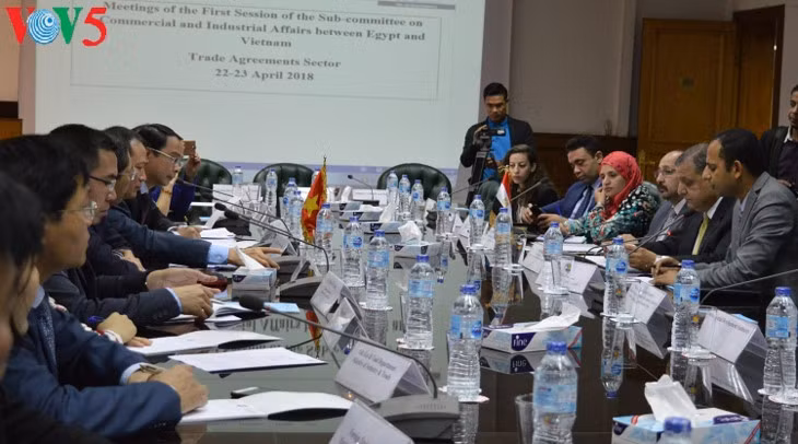 Le Vietnam et l’Egypte renforcent leur coopération commerciale ảnh 1