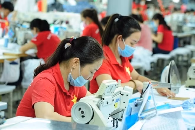 Près de 34.000 nouvelles entreprises créées au 1er trimestre ảnh 1