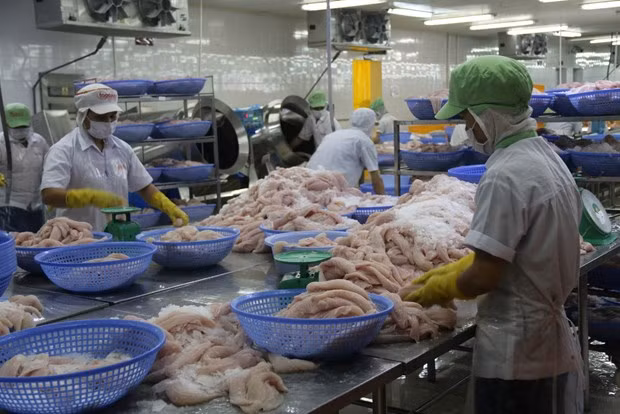 Les entreprises vietnamiennes et russes élargissent leur coopération dans les domaines potentiels ảnh 2
