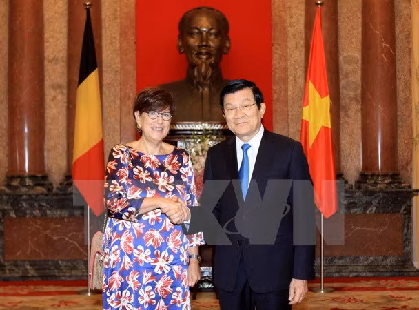 Le président Truong Tan Sang reçoit de nouveaux ambassadeurs ảnh 1