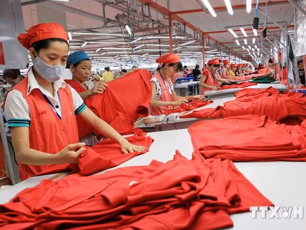 BMI Research est optimiste sur les perspectives économiques du Vietnam ảnh 1