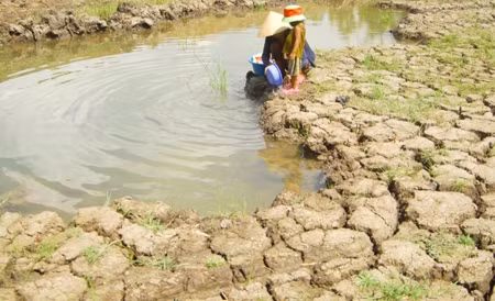 Vietnam et Canada échangent d’expériences sur la résilience aux changements climatiques ảnh 1