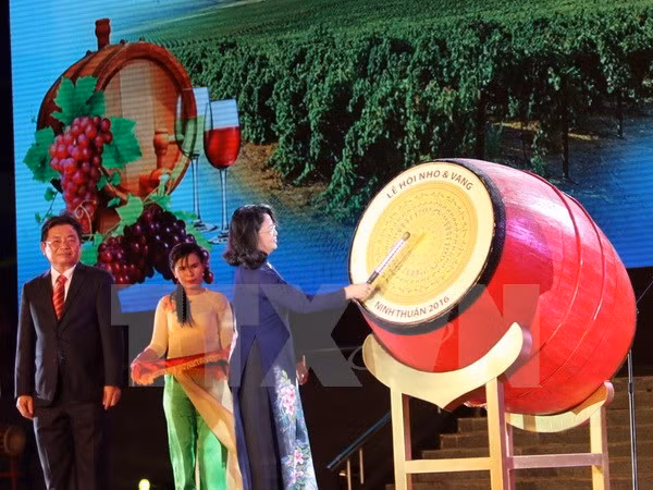 Ouverture de la Fête de la Vigne et du Vin - Ninh Thuan 2016 ảnh 1
