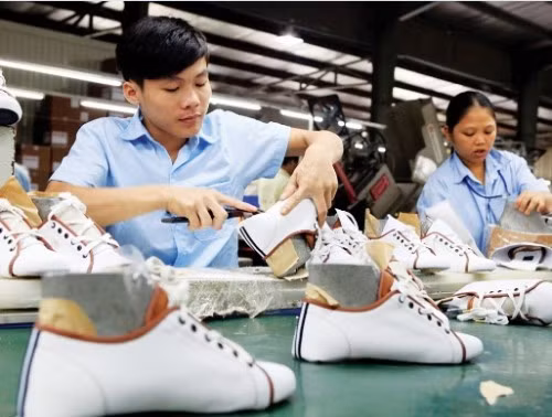 Hausse des exportations nationales en France entre janvier et juillet ảnh 1