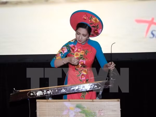 La culture vietnamienne présentée en Irlande ảnh 1