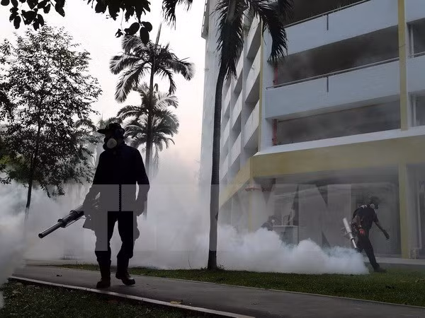 Zika : Singapour dénombre 27 nouveaux cas d'infection ảnh 2
