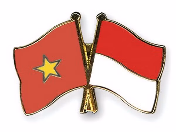 Rôle des organisations régionales dans le renforcement de la coopération Vietnam-Indonésie ảnh 1