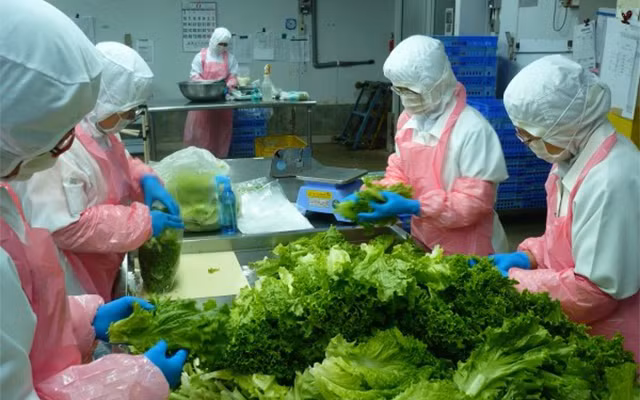 Elever la capacité logistique pour le développement du secteur des fruits et légumes ảnh 1