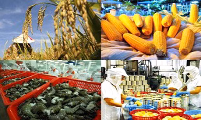 Produits agricoles, sylvicoles et aquatiques : 38 milliards de dollars d’exportation visés en 2018 ảnh 1