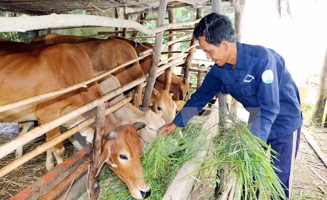Le Vietnam compte 1.972.767 ménages souffrant de pauvreté multidimensionnelle ảnh 1